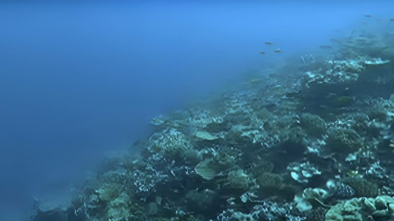 Diver Shares Incredible Reality Of Hollow Island Completely Blacked Out ...